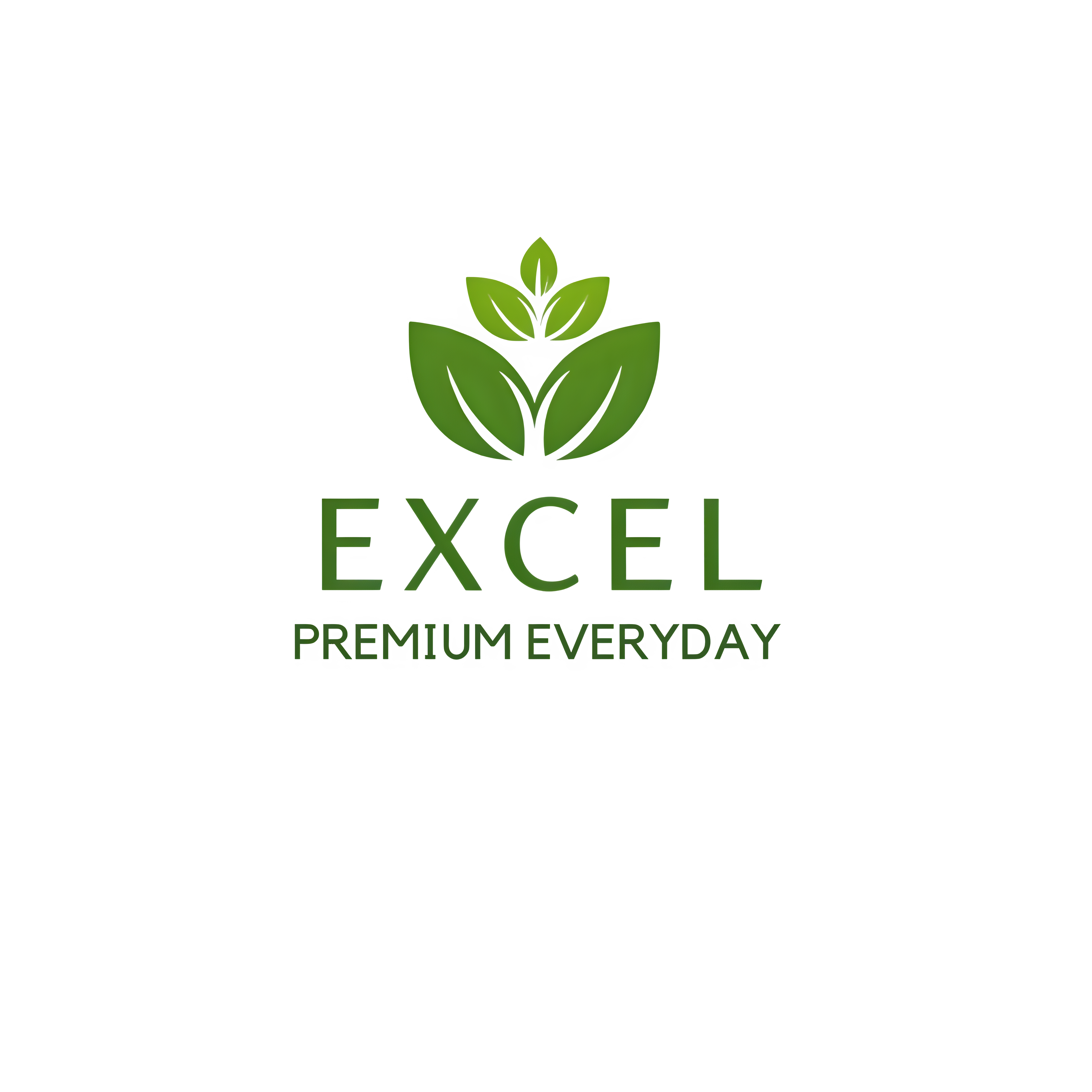 Excel